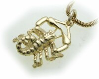 Anhänger Sternzeichen Skorpion echt Gold 333 massiv 8kt Tierkreiszeichen