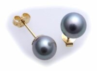 Ohrringe echt Akoya Perlen 8,5mm echt Gold 585 Perle...