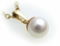 Damen Ring echt Bernstein aus der Ostsee echt Silber 925 Sterlingsilber AB39