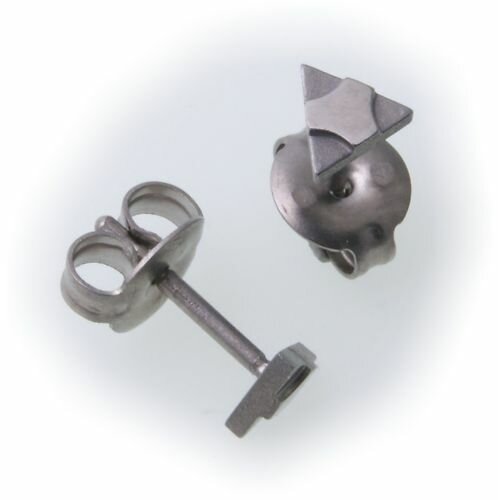 Ohhringe Stecker aus Titan Glanz teilmmatt