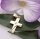 Anhänger Kreuz Gold 585 Zirkonia teilmatt. Qualität Gelbgold Unisex