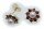 Damen Ohrringe Granat  Zuchtperle Perlen in Gold 585 Gelbgold Ohrstecker 6902/5G