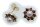 Damen Ohrringe Granat  Zuchtperle Perlen in Gold 585 Gelbgold Ohrstecker 6902/5G