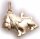 Anhänger Löwe plastisch mattiert 333 Gold Gelbgold Qualität Unisex Neu 8 karat