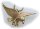 Anhänger Adler groß echt Gold 585 Vogel 14kt Qualität Raubvogel Gelbgold Unisex