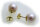 Damen Ohrringe echt Süßwasserzuchtperlen 10 mm Gold 585 Perlen Gelbgold 14 karat