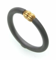 Damenring Ring in Titan mit  Gold 333 mattiert Sonderpreis