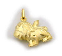 Anhänger Löwe plastisch mattiert 585 Gold Gelbgold Qualität Unisex Neu 14 karat
