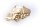 Herren Ohrringe Stecker echt Gold 333 LKW Truck
