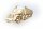 Herren Ohrringe Stecker echt Gold 585 LKW Truck Lastwagen Gelbgold 14 karat Neu
