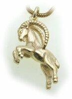 Anhänger Sternzeichen Steinbock echt Gold 585 massiv...