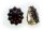 Damen Ohrringe m. Granat in Gold 333 Granatohrclip Clips Gelbgold Qualität 5515/