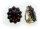 Damen Ohrringe m. Granat in Gold 333 Granatohrclip Clips Gelbgold Qualität 5515/