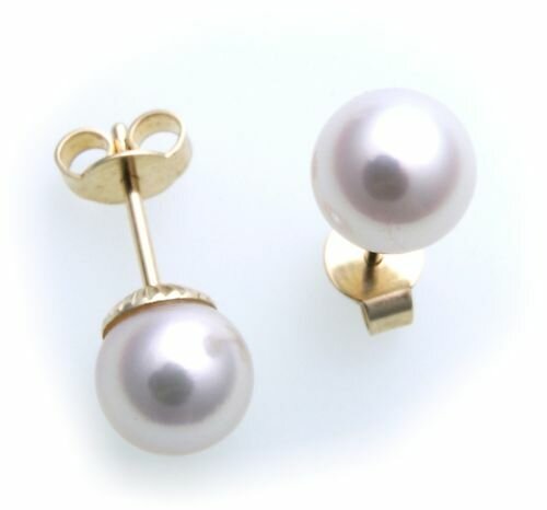 Damen Ohrringe echt Süßwasserzuchtperlen 7 mm Gold 585 Perlen Gelbgold Z2663 SWP