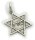 Neu Anhänger echt Silber 925 Davidstern mit Schriftzug mit Kette oder ohne David