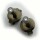 Neu hochwertige Ohrringe Titan mit Diamant 0,04c Stecker Ohrstecker Titanfactory