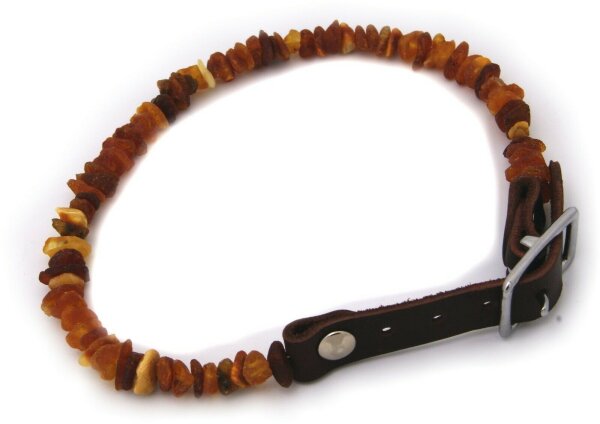 Neu Halsband echt Natur Bernstein für Hunde Hundehalsband 33 bis 49 cm Qualität