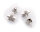 Damen Ohrringe Stern Zirkonia echt Silber 925 Sterlingsilber Ohrstecker Stecker Sternform